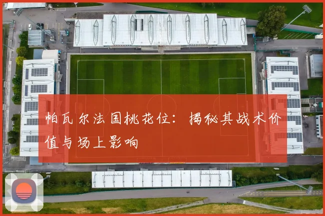 帕瓦尔法国桃花位：揭秘其战术价值与场上影响