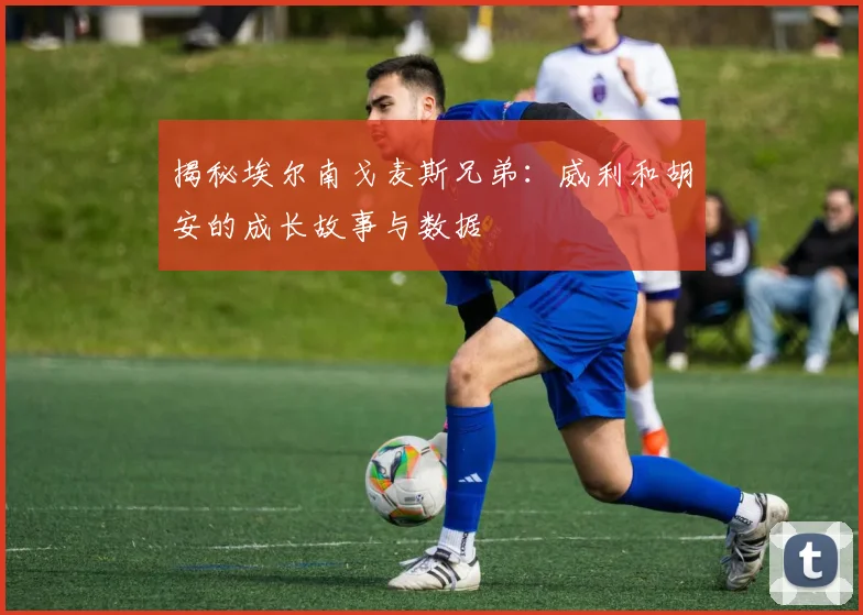 揭秘埃尔南戈麦斯兄弟：威利和胡安的成长故事与数据